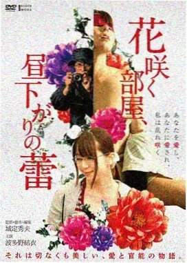 荒野之歌 电影 2016 英国
